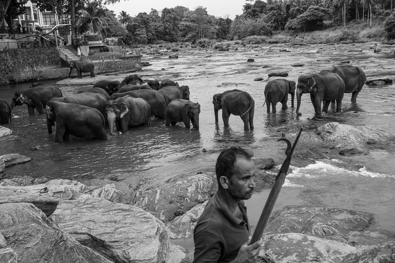 a767f4ae-2c9c-4546-b369-a3f7a52ff466