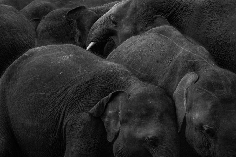 5de1f9cb-72b9-43e2-b18f-d6473c506bae