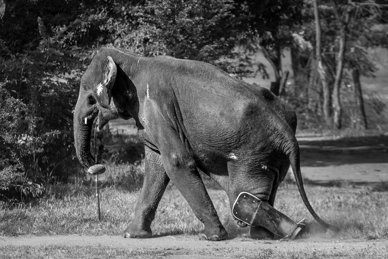 e224dbf2-04dd-4717-8b7a-54322cd2e91f